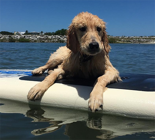 Max enjoying water