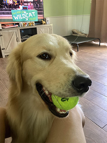 Hugo photo 3