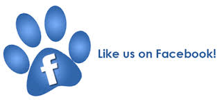 Follow Sterling Run Retrievers on Facebook