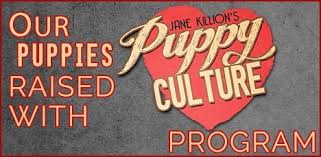 Puppy Culture
